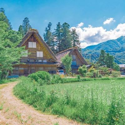 雷竞技下载app官网